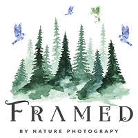 Framed by Nature Photography Footer Logo